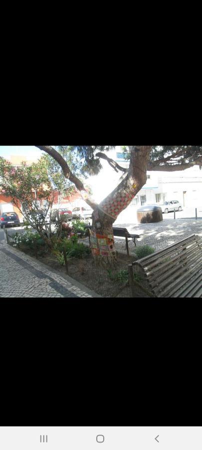 קווארטיירה Guest House Pacifica מראה חיצוני תמונה