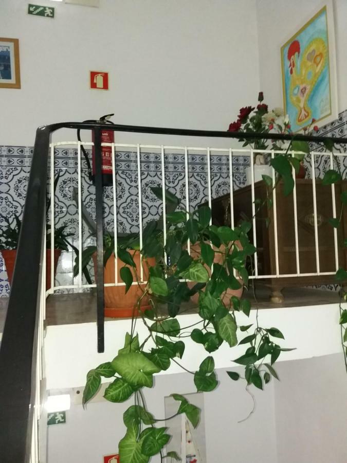 קווארטיירה Guest House Pacifica מראה חיצוני תמונה
